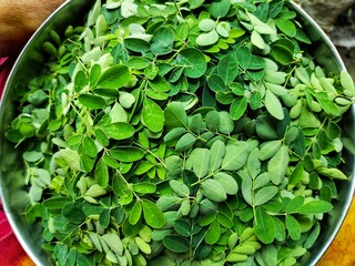 healthy and delicious moring leaves in plate in nice blur background, moringa leaf green wallpaper HD