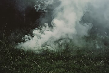 Fototapeta premium Thick smoke blankets a patch of grass, the white wisps forming intricate patterns against the dark, mysterious background.