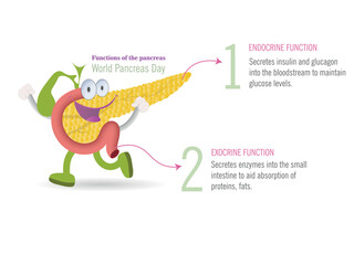 Animated pancreas celebrating World Pancreas Day. Colorful illustration of a cartoon pancreas, highlighting its endocrine and exocrine functions.
