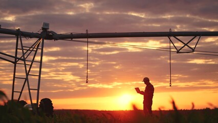 silhouette agriculture. a male farmer works on a laptop in a field with green corn sprouts. corn is...