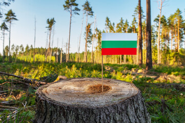 UN Climate Change Conference. Bulgaria Deforestation. Ecological disaster, deforestation in Sofia...