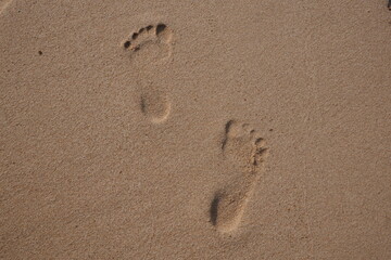 Footprints in the sand on a tropical beach
