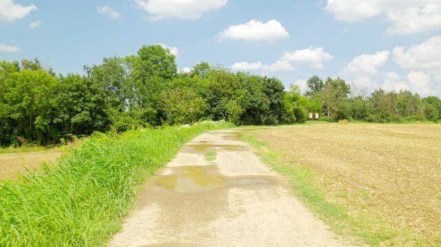 Walking and hiking in nature on a countryside dirt road among fields. Being outdoors. Serenity, calm and relaxation. Blue sky with white clouds. Collegno, Italy. Real time 4K video.