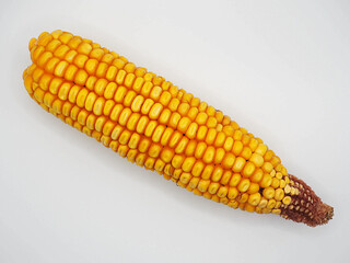 Pannocchia diagonale