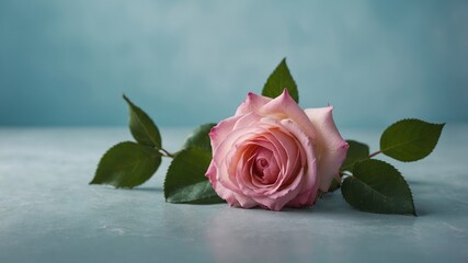 Elegant image of two pink roses with green leaves on a light blue background, perfect for romantic occasions and floral themes with copy space summer concept.