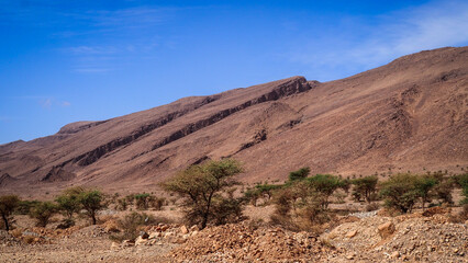 The desert landscape of Southern Morocco