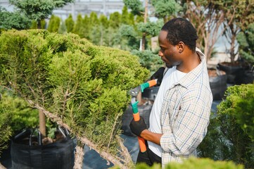 Garden worker trimming trees with scissors. garden shop