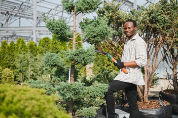 Portrait of a young african american handsome gardener. Shop of tree sprouts