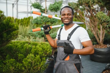 A young african american gardener cuts a tree with scissors. Gardening and tree shop concept