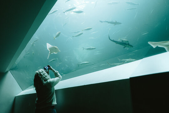 Nords&oslash;en Oceanarium in Hirtshals