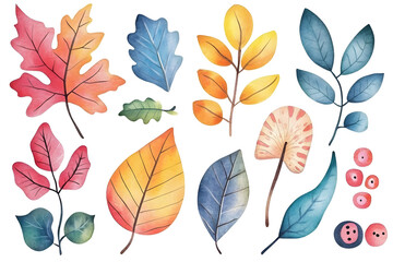 Obraz premium Hand drawn autumn collection of colorful plants and leaves isolated on white background 