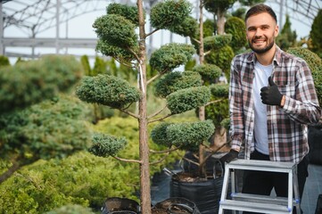 Male employee of garden shopping center inspects product. Department with potted plants, is...