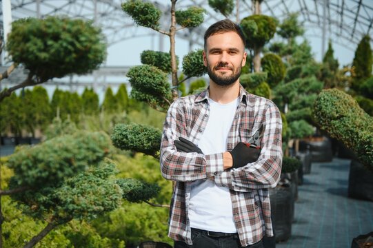 Gardener at work near sprouts of bushes and trees. Horticulture and sale of trees