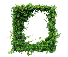 Lush green leaves forming a natural frame, cut out