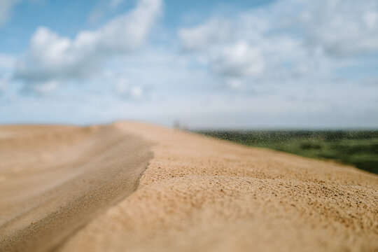 Sand fliegt durch die Luft auf einer D&uuml;ne in Nordj&uuml;tland