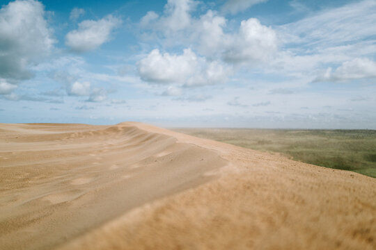 Sand fliegt durch die Luft auf einer D&uuml;ne in Nordj&uuml;tland