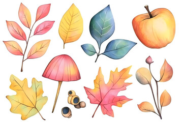 Hand drawn autumn collection of colorful plants and leaves isolated on white background