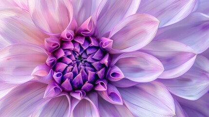 Close up of a flower with a purple tint