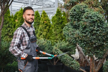 Garden worker trimming trees with scissors. garden shop