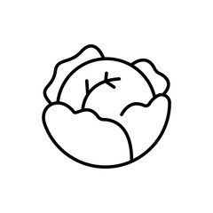 Cabbage outline icons, minimalist vector illustration ,simple transparent graphic element .Isolated on white background