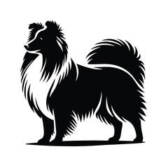 Naklejka premium Silhouette of a Shetland Sheepdog