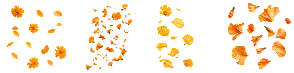 Obraz premium Four clusters of golden mineral crystals on a black background, showcasing organic and irregular shapes. Perfect for geology and mineralogy projects.