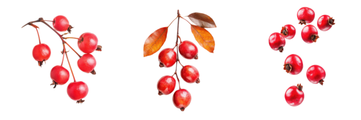 Set of three clusters of fresh, bright red berries with leaves, isolated on a white background. Perfect for food, nature, or health themes.