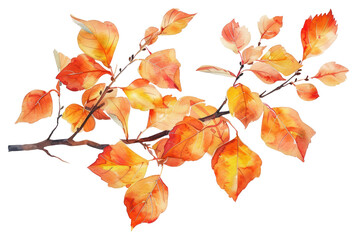 Naklejka premium PNG Autumn leaves watercolor branch