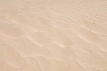 background wit soft sandy waves
