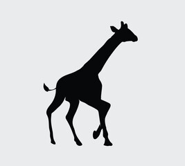  animal icons of black color