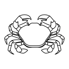 Crab glyph icon, seafood and fish, crab vector icon, Stone crab flat, sea crab silhouette vector graphics. Vector illustration