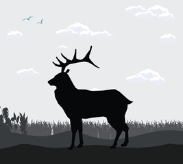 sky shadow of forest scene animal background