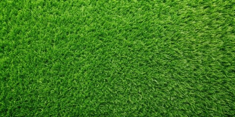 Green artificial grass natural background, top view, artificial grass, green, background, top view, texture