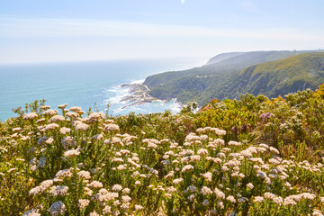 Eine Reise durch S&uuml;dafrika. Unterwegs im Tsitsikamma Nationalpark.
