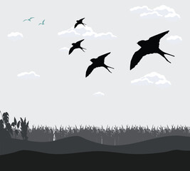 sky shadow of forest scene animal background