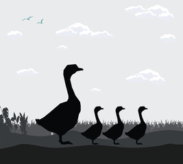 sky shadow of forest scene animal background