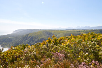 Eine Reise durch Südafrika. Unterwegs im Tsitsikamma Nationalpark.