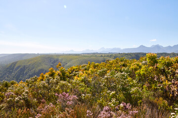 Eine Reise durch Südafrika. Unterwegs im Tsitsikamma Nationalpark.