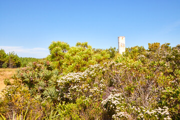 Eine Reise durch Südafrika. Unterwegs im Tsitsikamma Nationalpark.