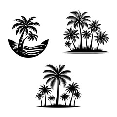palm tree silhouette