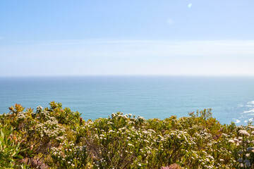 Eine Reise durch S&uuml;dafrika. Unterwegs im Tsitsikamma Nationalpark.