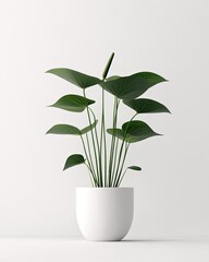A vibrant green plant in a minimalistic white pot, perfect for enhancing interior decor and bringing nature indoors.