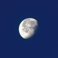 Mond