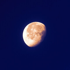 Mond