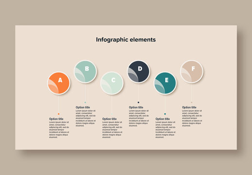 6 Step Workflow Infographic