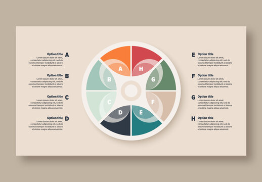 8 Step Workflow Infographic