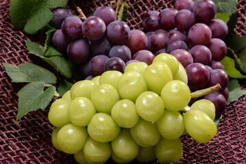 採れたての新鮮なぶどうシャインマスカットと巨峰