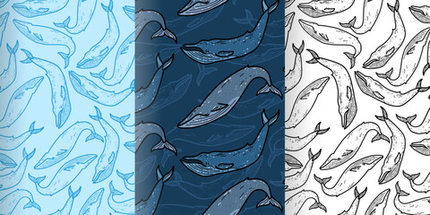 Vector set seamless pattern with whale for typography, design, textiles