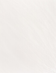 Obraz premium white paper texture - abstract white background - Generative AI