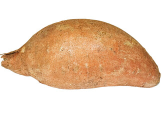 Sweet potato isolated on white background